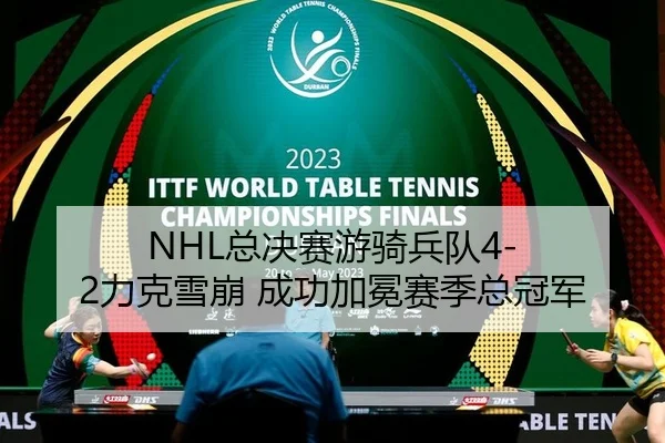 NHL总决赛游骑兵队4-2力克雪崩 成功加冕赛季总冠军
